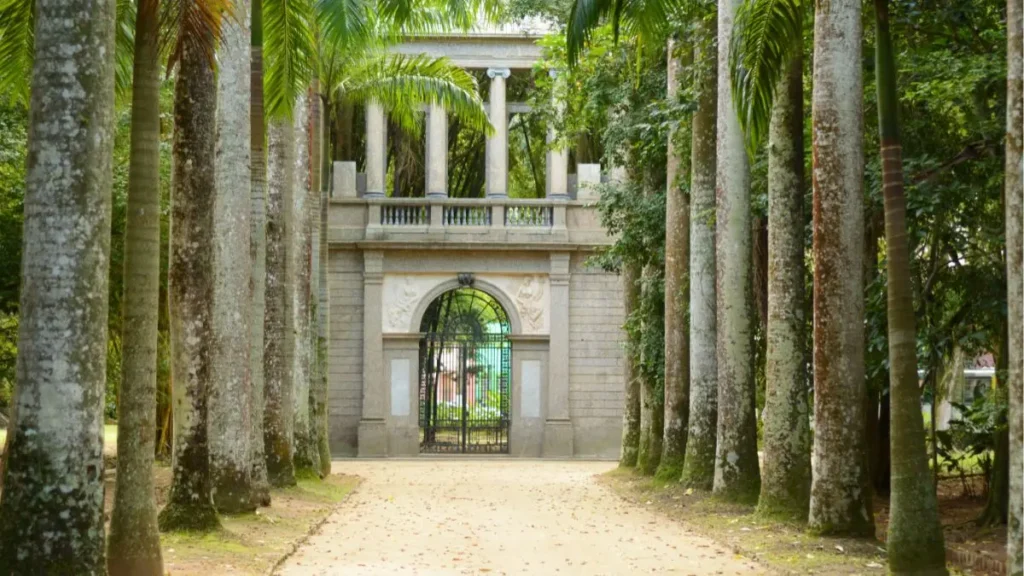 Alameda de palmeiras imperiais no Jardim Botânico do Rio.